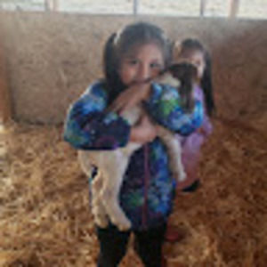 Meet your Posher, Phoenix